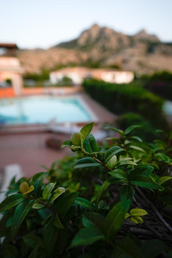 Domus Smeralda Porto Cervo Zewnętrze zdjęcie